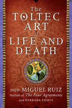 Barbara Emrys The Toltec Art of Life and Death обложка книги