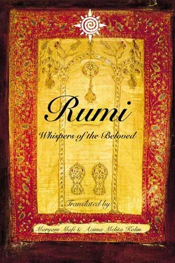 Maryam Mafi Rumi: Whispers of the Beloved обложка книги