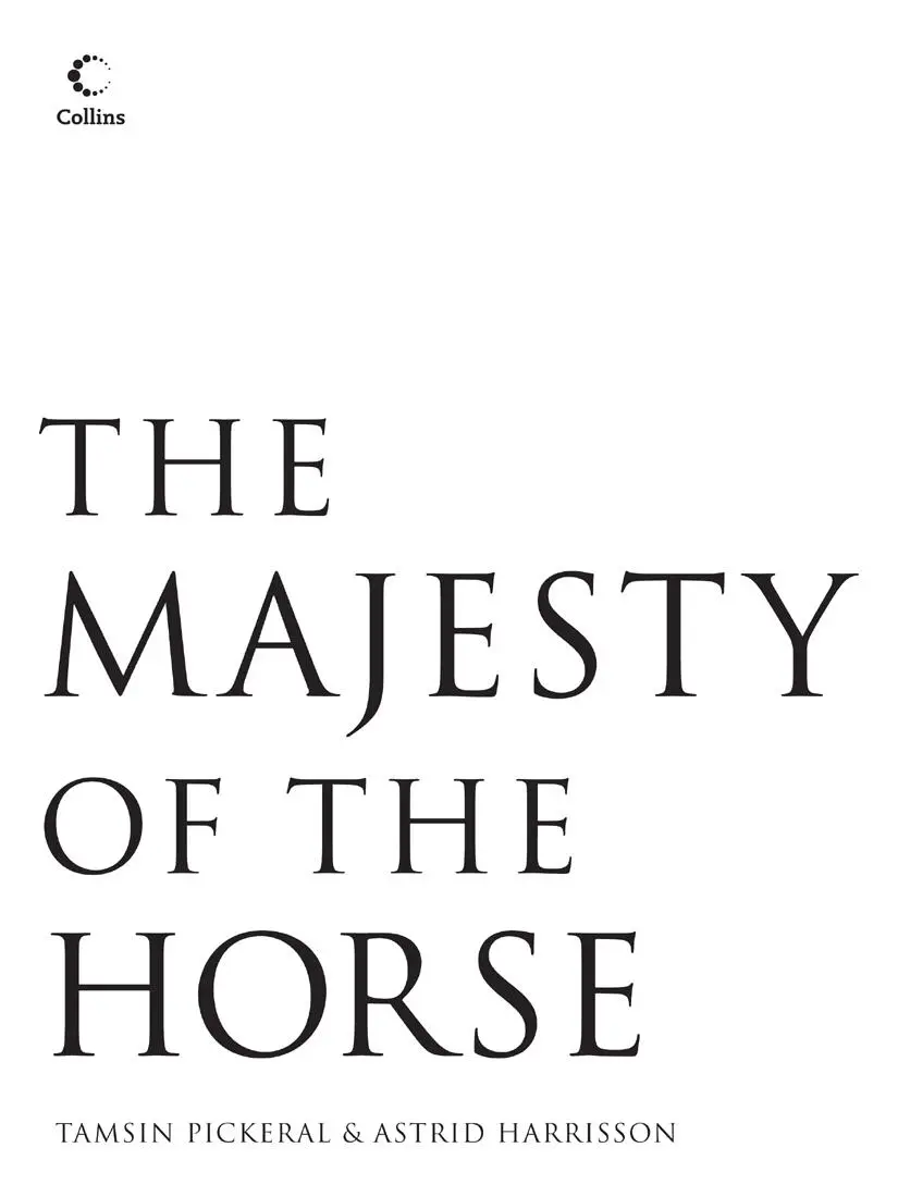 The Majesty of the Horse An Illustrated History - фото 2