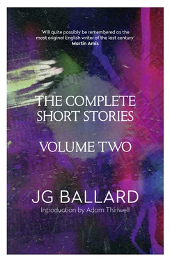 Adam Thirlwell The Complete Short Stories: Volume 2 обложка книги