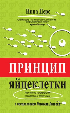 Инна Перс Принцип яйцеклетки: науч-поп-гид по физиологии и психологии от первого лица обложка книги