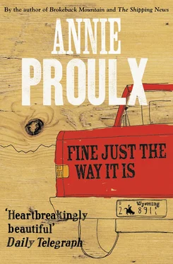 Annie Proulx Fine Just the Way It Is: Wyoming Stories 3 обложка книги