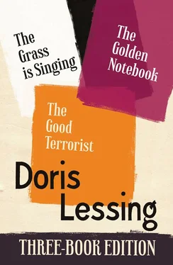 Doris Lessing Doris Lessing Three-Book Edition: The Golden Notebook, The Grass is Singing, The Good Terrorist обложка книги