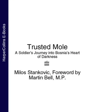 Martin Bell Trusted Mole: A Soldier’s Journey into Bosnia’s Heart of Darkness обложка книги