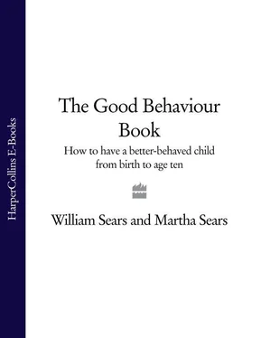 Martha Sears The Good Behaviour Book: How to have a better-behaved child from birth to age ten обложка книги