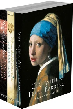 Tracy Chevalier Tracy Chevalier 3-Book Collection: Girl With a Pearl Earring, Remarkable Creatures, Falling Angels обложка книги