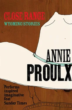 Annie Proulx Close Range: Brokeback Mountain and other stories обложка книги