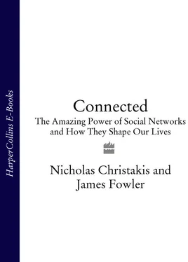 James Fowler Connected: The Amazing Power of Social Networks and How They Shape Our Lives обложка книги
