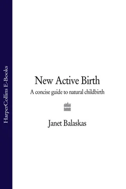 Janet Balaskas New Active Birth: A Concise Guide to Natural Childbirth обложка книги