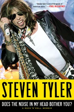 Steven Tyler Does the Noise in My Head Bother You?: The Autobiography обложка книги