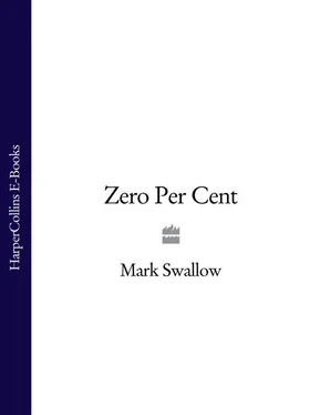 Mark Swallow Zero Per Cent обложка книги