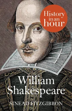 Sinead Fitzgibbon William Shakespeare: History in an Hour обложка книги