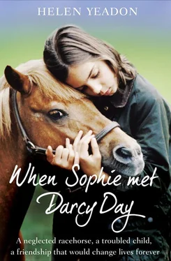 Helen Yeadon When Sophie Met Darcy Day обложка книги