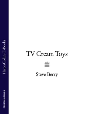 Steve Berry TV Cream Toys Lite обложка книги
