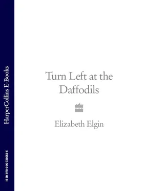 Elizabeth Elgin Turn Left at the Daffodils обложка книги