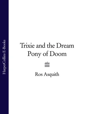 Ros Asquith Trixie and the Dream Pony of Doom обложка книги