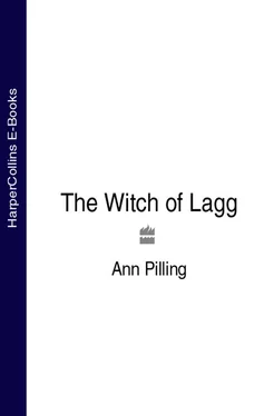 Ann Pilling The Witch of Lagg обложка книги