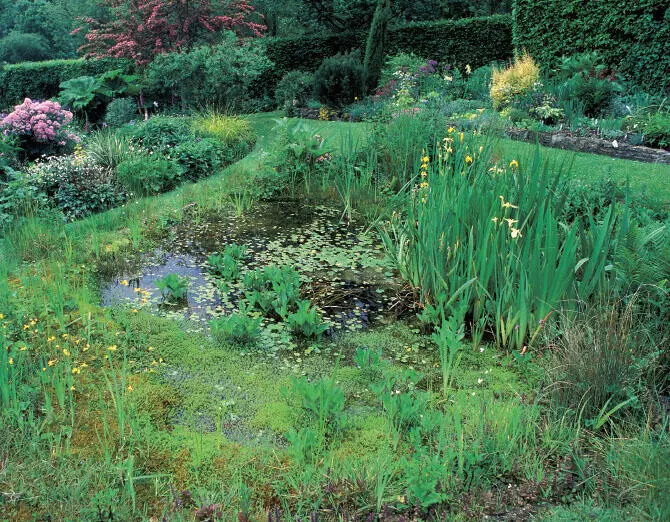 Colin Varndell A planned garden does not have to be very formal The position - фото 20