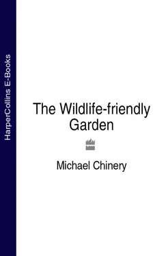 Michael Chinery The Wildlife-friendly Garden обложка книги