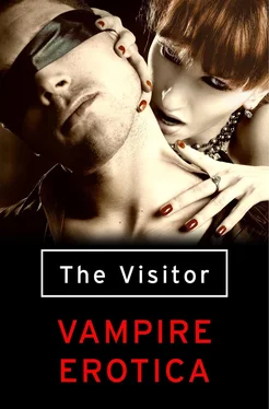 Various Various The Visitor: Vampire Erotica обложка книги