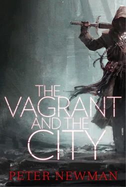 Peter Newman The Vagrant and the City обложка книги