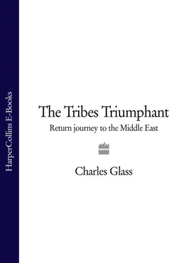 Charles Glass The Tribes Triumphant: Return Journey to the Middle East обложка книги