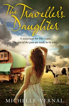 Michelle Vernal The Traveller’s Daughter обложка книги