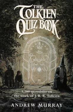 Andrew Murray The Tolkien Quiz Book обложка книги