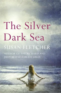 Susan Fletcher The Silver Dark Sea обложка книги