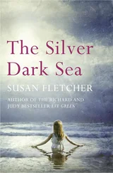 Susan Fletcher - The Silver Dark Sea