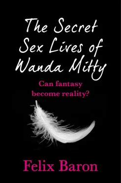 Felix Baron The Secret Sex Lives of Wanda Mitty обложка книги