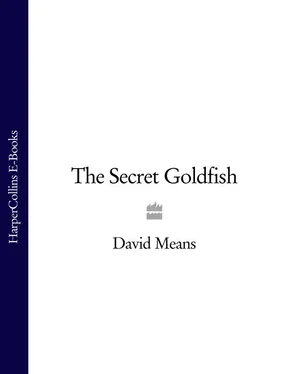 David Means The Secret Goldfish обложка книги