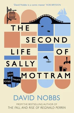 David Nobbs The Second Life of Sally Mottram обложка книги