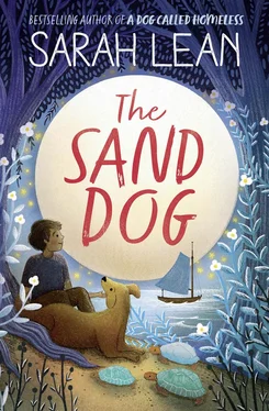 Sarah Lean The Sand Dog обложка книги