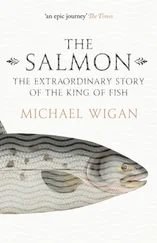 Michael Wigan - The Salmon - The Extraordinary Story of the King of Fish