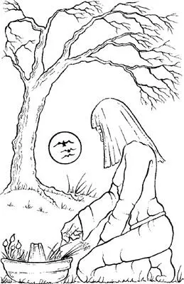 Whenever you tend your Sacred Space follow the same approach as you did above - фото 20