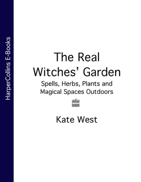 Kate West The Real Witches’ Garden: Spells, Herbs, Plants and Magical Spaces Outdoors обложка книги