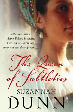 Suzannah Dunn The Queen of Subtleties обложка книги