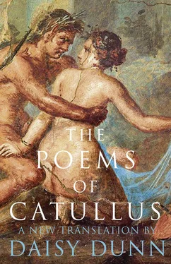 Daisy Dunn The Poems of Catullus обложка книги