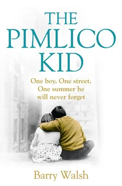 Barry Walsh The Pimlico Kid обложка книги
