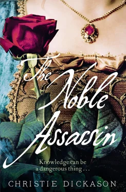 Christie Dickason The Noble Assassin обложка книги