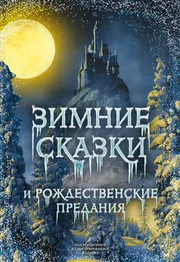 Array Сборник Зимние сказки и рождественские предания обложка книги