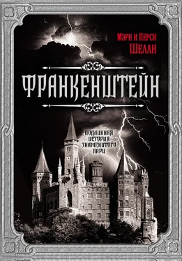 Перси Биши Шелли Франкенштейн. Подлинная история знаменитого пари обложка книги