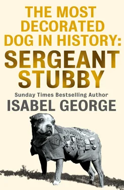 Isabel George The Most Decorated Dog In History: Sergeant Stubby обложка книги