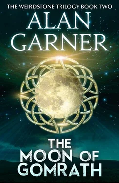 Alan Garner The Moon of Gomrath обложка книги