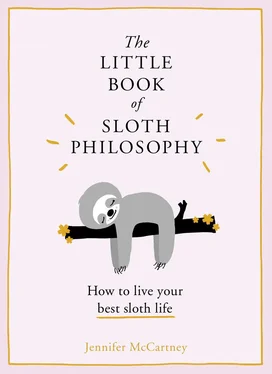 Jennifer McCartney The Little Book of Sloth Philosophy обложка книги