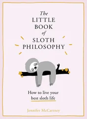 Jennifer McCartney - The Little Book of Sloth Philosophy