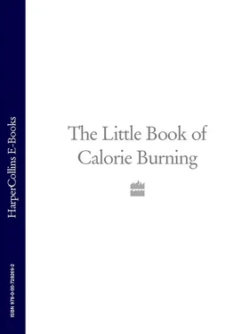 Collective work The Little Book of Calorie Burning обложка книги