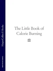Collective work - The Little Book of Calorie Burning