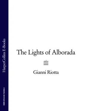 Gianni Riotta The Lights of Alborada обложка книги